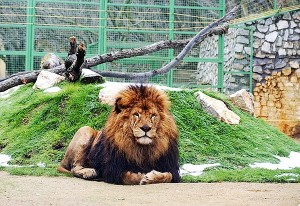 travel zoo budapest